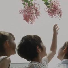 步履不停 - fc3FxJ7FBzPZbovbJDv9jJUBll0.jpg