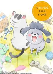 养狗与猫每天都很开心