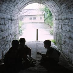 奇迹 - jJfri5yFC9qTwIbNNYvt7k7Z4MR.jpg