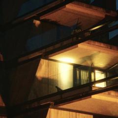 绚烂一刻 - AmyzsL9jrrnBil6EKlhLNbnEVz0.jpg