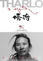 塔洛