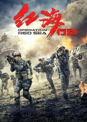 红海行动