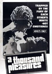 A Thousand Pleasures