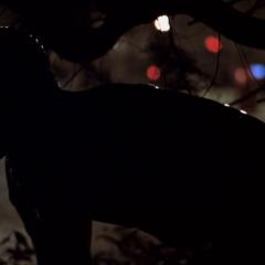 幻影 - iyYzjpHXuczSUupK8A5O2KT6mQk.jpg