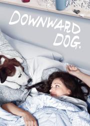 萌犬先生