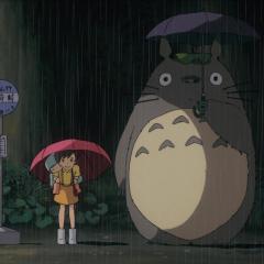 龙猫 - 19SRdYFaxTbqG8rc9CpXmfLpPoM.jpg