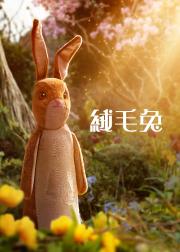 天鹅绒兔子