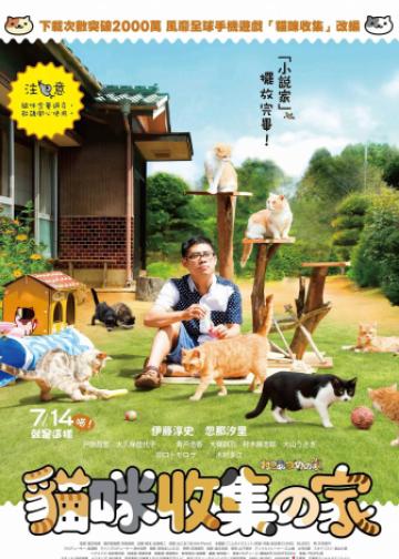 猫咪后院之家